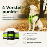 Hundegeschirr Anti-Zug – Mehr Kontrolle und Komfort bei jedem Spaziergang