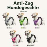 Hundegeschirr Anti-Zug – Mehr Kontrolle und Komfort bei jedem Spaziergang