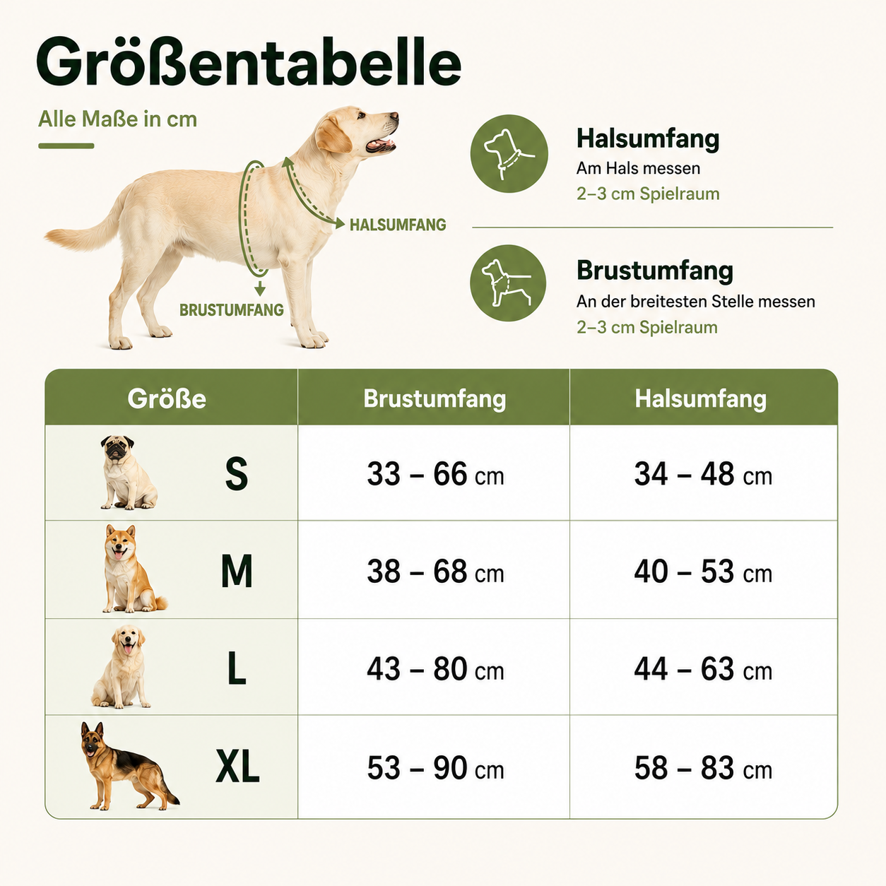 Hundegeschirr Anti-Zug – Mehr Kontrolle und Komfort bei jedem Spaziergang