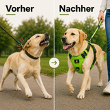 Hundegeschirr Anti-Zug – Mehr Kontrolle und Komfort bei jedem Spaziergang