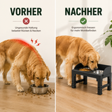 Höhenverstellbarer Futternapf – Für eine gesunde Fresshaltung