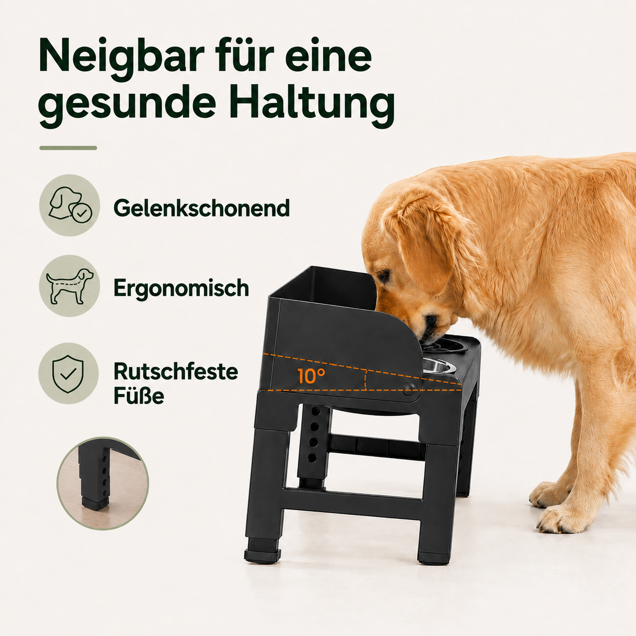 Höhenverstellbarer Futternapf – Für eine gesunde Fresshaltung