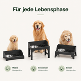 Höhenverstellbarer Futternapf – Für eine gesunde Fresshaltung