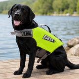 Schwimmweste für Hunde – Mehr Sicherheit bei Abenteuer im Wasser