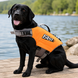 Schwimmweste für Hunde – Mehr Sicherheit bei Abenteuer im Wasser