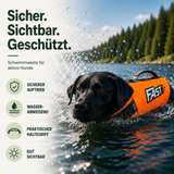 Schwimmweste für Hunde – Mehr Sicherheit bei Abenteuer im Wasser